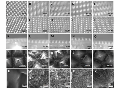 Dissolving microneedle array patches containing mesoporous silica nanoparticles of different pore sizes as a tunable sustained release platform