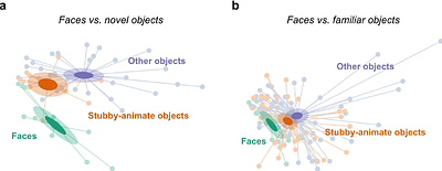 Objects, faces, and spaces: Organizational principles of visual object perception as evidenced by individual differences in behavior