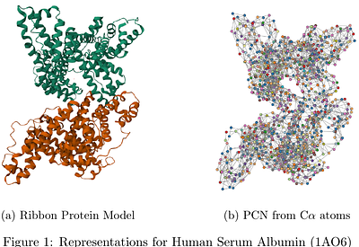 A Machine Learning Approach for Physiological Role Prediction in Protein Contact Networks: a large-scale analysis on the human proteome