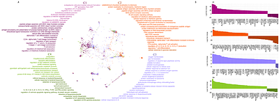 Deciphering sepsis molecular subtypes using large-scale data to identify subtype-specific drug repurposing