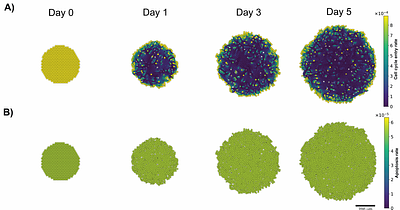 UQ-PhysiCell: An extensible Python framework for uncertainty quantification and model analysis in PhysiCell