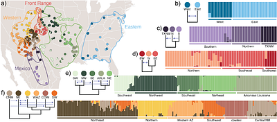 Gene Flow Creates Fuzzy Species Boundaries in Fence Lizards