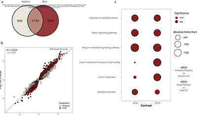 Differential regulation of apoptosis, autophagy and Symbiodiniaceae energy transfer mediate the link between bleaching and disease in Exaiptasia diaphana