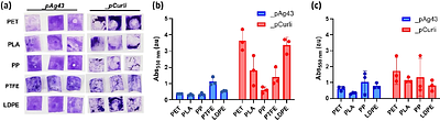 Programmable bacterial adhesion to plastic surfaces for enhanced biodegradation