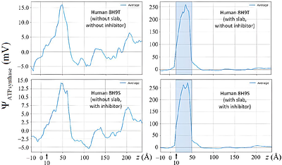 Intrinsic electrostatics of ATP synthase modulate the proton motive force across species