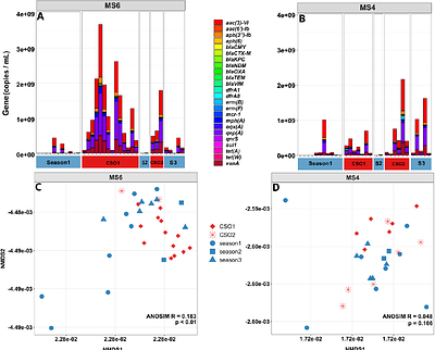 Cycles of contamination and recovery: Combined sewer overflows drive acute but transient antimicrobial resistance exposure in an urban stream