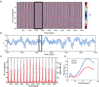 Emergent multidien cycles from partial circadian synchrony