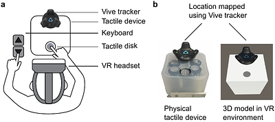 Tactile and Visual Spatial Frequency Perception Follows Optimal Integration but Is Not Affected by Spatial Proximity