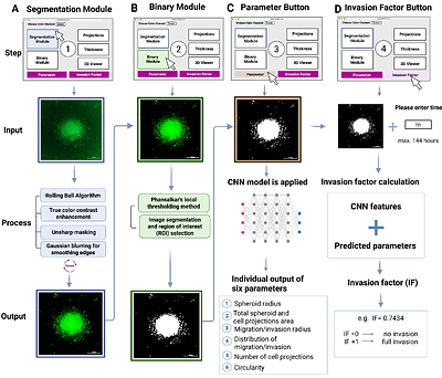 ImplantoMetrics - Multidimensional trophoblast invasion assessment by combining 3D-in-vitro modeling and deep learning analysis