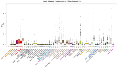 Integrative Identification and Characterization of PCOS-Associated lncRNAs From the Interface of Genetic Association, Transcriptomics, and Gene Structure Evolution