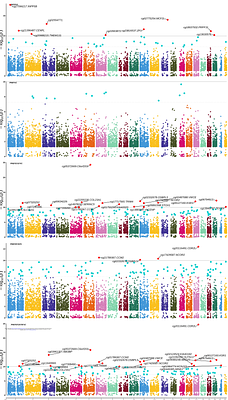DNA-methylation markers associated with lung function at birth and childhood reveal early life programming of inflammatory pathways