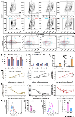 IFNγ expression correlates with enhanced cytotoxicity in CD8+ T cells