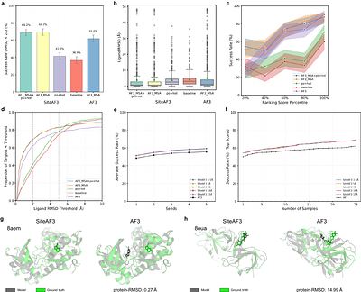 Accurate Site-specific Folding via Conditional Diffusion Based on Alphafold3