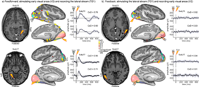 A Systematic Characterization of Causal Interactions Between Human Visual Areas