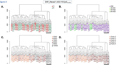The effect of environmental enrichment on immune cell DNA methylation profiles depends on the parity of sows.