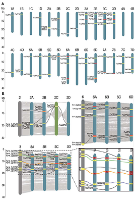 Genome-Wide Discovery and Characterization of Terpene Synthases Contributing to Strawberry Aroma Metabolism