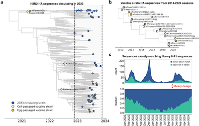 High-throughput neutralization measurements correlate strongly with evolutionary success of human influenza strains