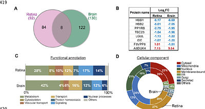 Early proteomic signatures of Alzheimer`s disease in the retina and brain of 3xTg-AD mice