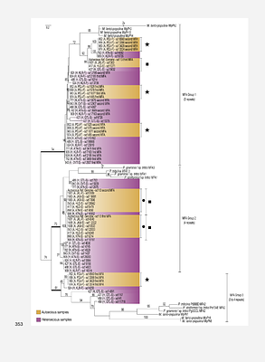 Mating Type Gene Divergence is Associated with Life Cycle Differentiation in Scots Pine Blister Rust