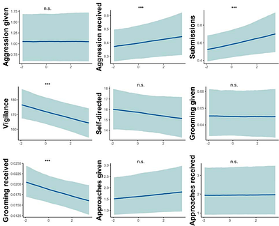 Early life adversity shapes adult behavior in a free-ranging primate