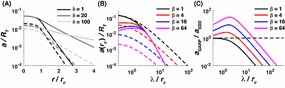 Kinetic proofreading decouples signal strength and range in paracrine gradient formation