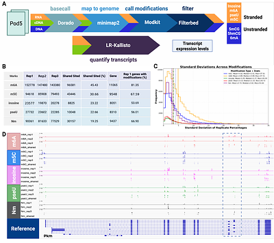 Dogme: A nextflow pipeline for reprocessing nanopore RNA and DNA modifications