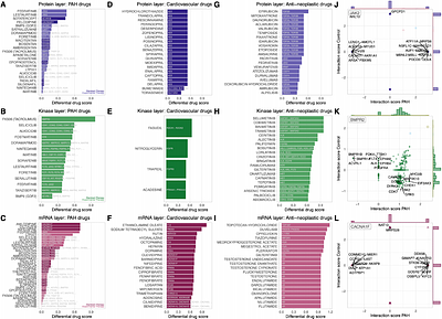 Differential multi-omics analysis of pulmonary arterial hypertension microvascular endothelial cells for differential drug response