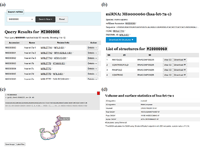 miRVim: Three-dimensional miRNA Structure Data Server