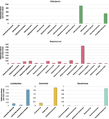 Introducing a gastric microbial model community
