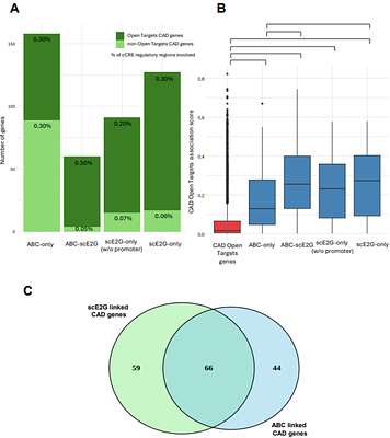 Comparing bulk and single-cell methodologies and models to profile gene expression, chromatin accessibility and regulatory links in endothelial cells treated with TNFα