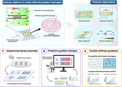 A Modular Microfluidic System to Generate Gradient Hydrogels with Simple-to-Complex Stiffness Profiles for Mechanobiology