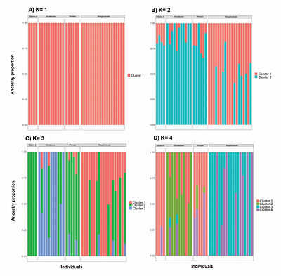 Small-scale within-drainage spawning behavior causes population differentiation in Atlantic salmon