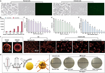 Extracellular injection system combined with peptides for intracellular Staphylococcus aureus treatment