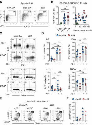 Peripheral T Helper Cells Dominate the Synovial CD4⁺ T Cell Compartment in Systemic Juvenile Idiopathic Arthritis and Are Shaped by IL-1β and IL-18