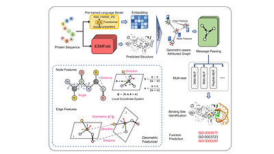 Genome-scale annotation of protein binding sites via language model and geometric deep learning