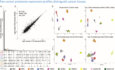 Towards routine proteome profiling of FFPE tissue: Insights from a 1,200 case pan-cancer study