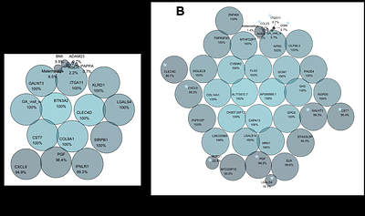 The maternal inflammatory proteome during pregnancy and its role in predicting the risk of spontaneous preterm birth