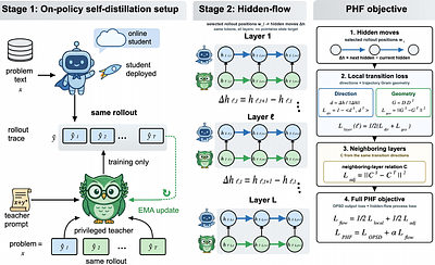 PHF: Privileged Hidden Flow for On-Policy Self-Distillation