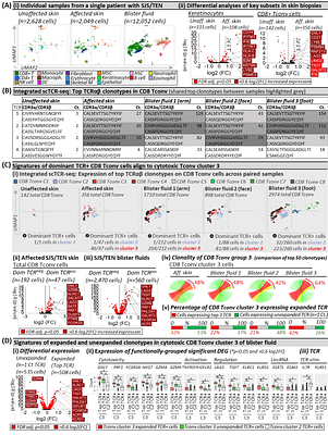 Multiomic single-cell sequencing defines tissue-specific responses in Stevens-Johnson Syndrome and Toxic epidermal necrolysis.
