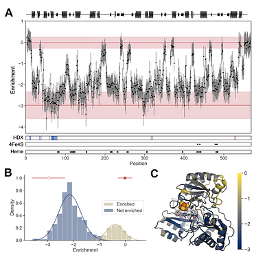 Using domain insertion to create sulfite reductases that present chemical-dependent activities