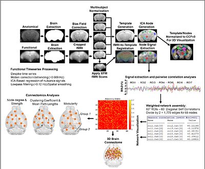 Maturational Differences in Affective Behaviors Involves Changes in Frontal Cortical-Hippocampal Functional Connectivity and Metabolomic Profiles