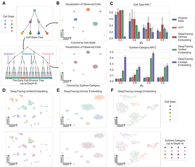 Decoupling Lineage and Intrinsic Information in Single-Cell Lineage Tracing Data with Deep Disentangled Representation Learning