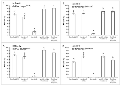 Reversion of pyrethroid resistant phenotypes in Aphis glycines by topical delivery of dsRNA targeting resistance alleles at the vgsc locus