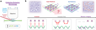 Many-Body Super- and Subradiance in Ordered Atomic Arrays
