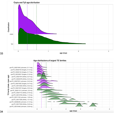 The Dynamics of Long Terminal Repeat Proliferation in the Hesperis matronalis Genome