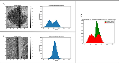 LLS-SevEst - Late leaf spot severity estimator. A machine learning approach to assessing Nothopassalora personata in peanut.