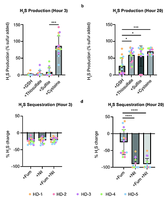 Metabolic engineering of Escherichia coli to modulate hydrogen sulfide levels in the mammalian gut