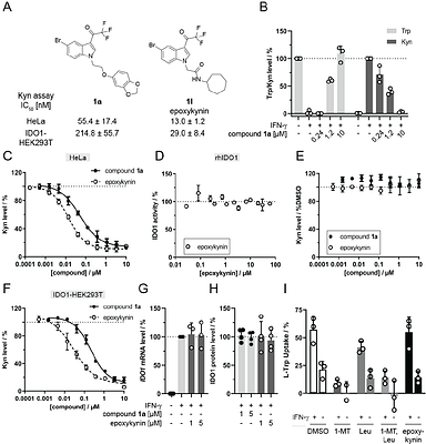 Discovery of the sEH Inhibitor Epoxykynin as Potent Kynurenine Pathway Modulator