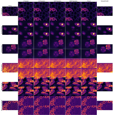 Direct Unsupervised Denoising