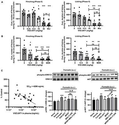 Enhanced anti-nociception by novel dual antagonists for 5HT2aR and mGluR5 in preclinical models of pain